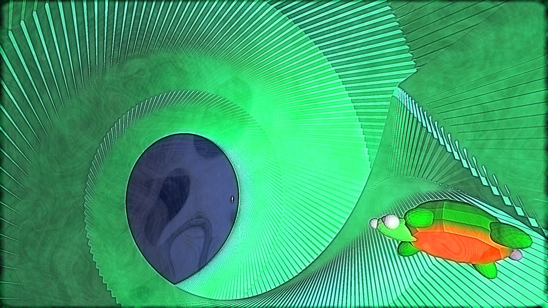 The Art of the Turtle